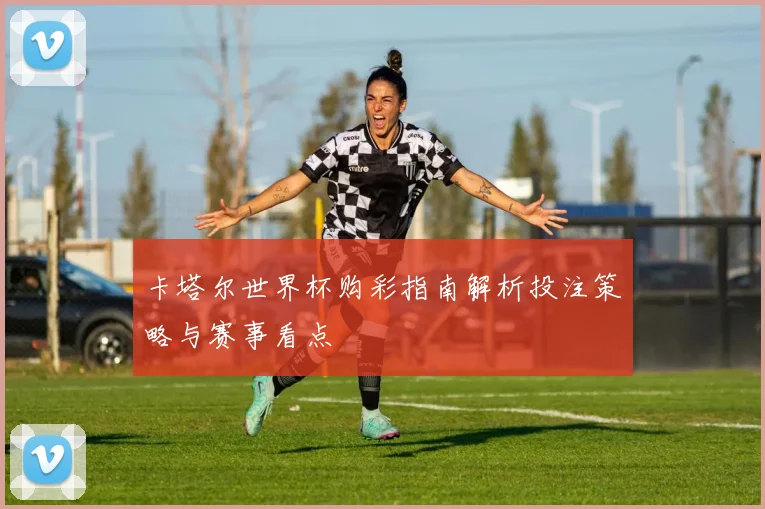 卡塔尔世界杯购彩指南解析投注策略与赛事看点